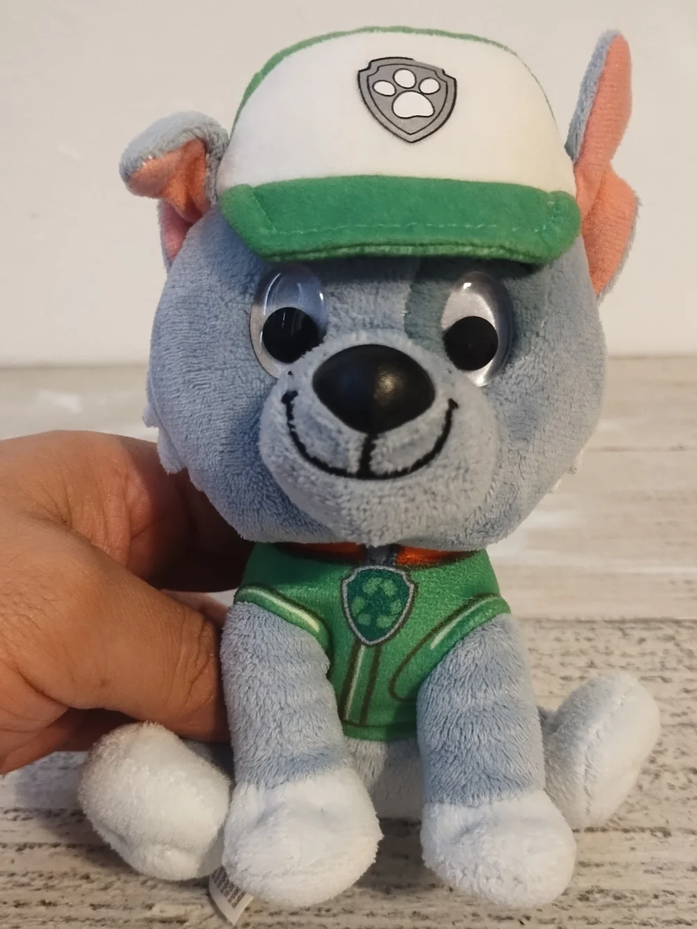 Paw Patrol Rocky Plush Toy with Green Cap